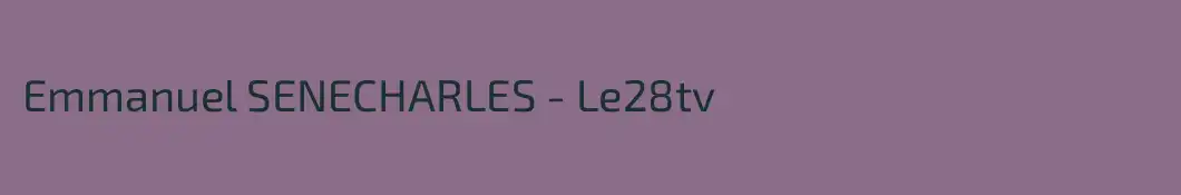 Emmanuel SENECHARLES - Le28tv 